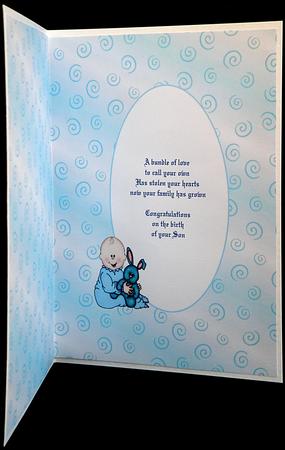Baby Boy Bib Insert by Suzi Cooper