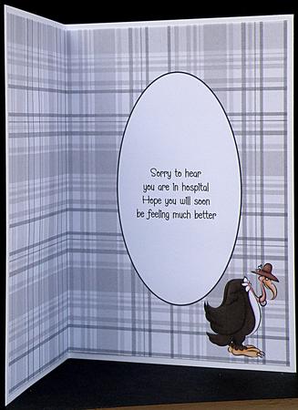 Old Buzzard Insert by Suzi Cooper
