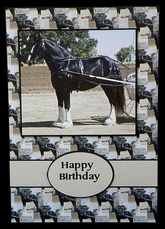 Shire Horse by Suzi Cooper