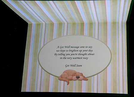 Insert for Sorry You're Feeling Woof Get Well Card by Suzi Cooper