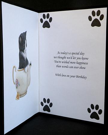 Teapot Kitty Insert by Suzi Cooper