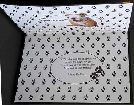 Wrinkles and Smiles Insert by Suzi Cooper