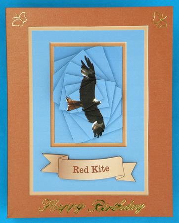 Red Kite Spyramage by Suzi Cooper