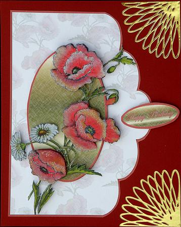 The Poppies by Suzi Cooper