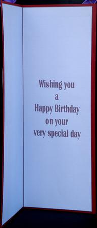 Birthday Large dl Insert by Suzi Cooper