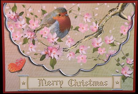 Friendly Robin by Suzi Cooper