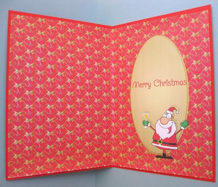 Santa Insert by Suzi Cooper