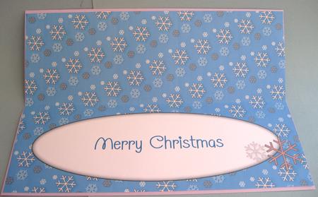 Snowflakes Insert for Large Dl 5 by Suzi Cooper