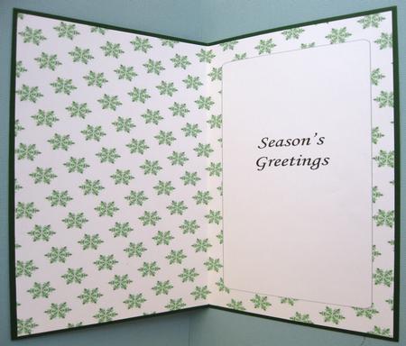 Christmas Snowflakes Insert for Dl (green 2) by Suzi Cooper