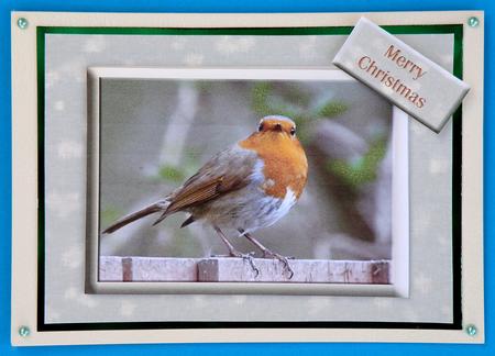 A Little Bird Told Me 2 by Suzi Cooper