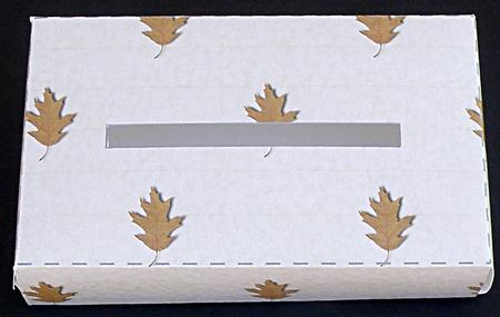 Autumn Leaves Pocket Tissue Box by Suzi Cooper