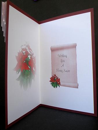 Red Poinsettia Xmas Insert by Suzi Cooper