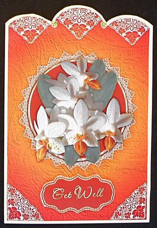 White and Orange Orchid by Suzi Cooper