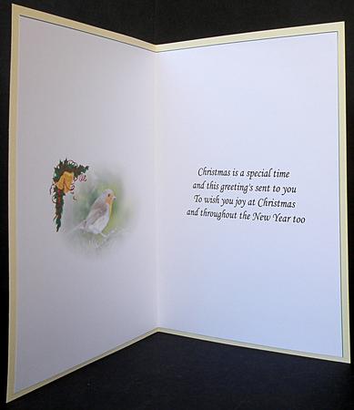 Robin & Xmas Bells Insert by Suzi Cooper