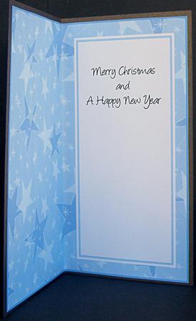 Dl Portrait Pastel Stars Christmas Inserts by Suzi Cooper