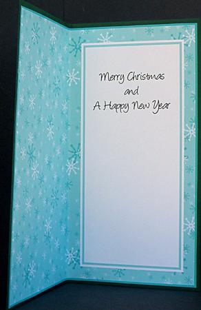 Dl Portrait Pastel Snowflakes Christmas Inserts by Suzi Cooper