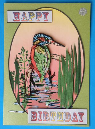 Kingfisher by Suzi Cooper