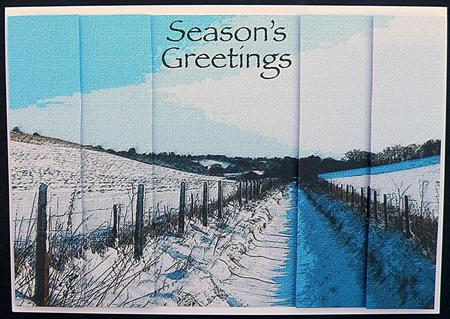 Christmas Snowy Path by Suzi Cooper