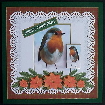Robin in Poinsettias by Suzi Cooper