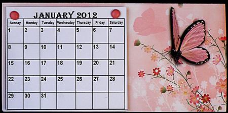 Pink Butterfly Desktop Calendar Base by Suzi Cooper