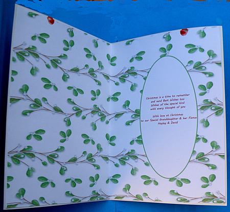 Special Christmas Insert by Suzi Cooper