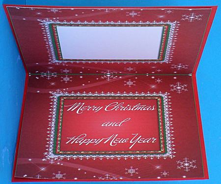 Merry Christmas and Happy New Year Red Insert by Suzi Cooper