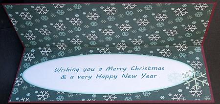 Snowflakes Insert for Large Dl 2 by Suzi Cooper