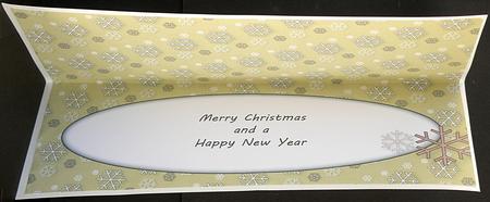 Snowflakes Insert for Large Dl 6 by Suzi Cooper