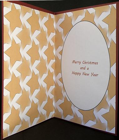 Gold Star Christmas Insert by Suzi Cooper