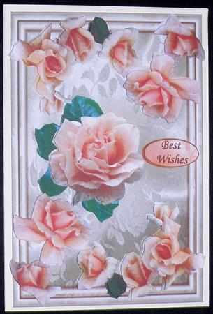 Orange Roses by Suzi Cooper