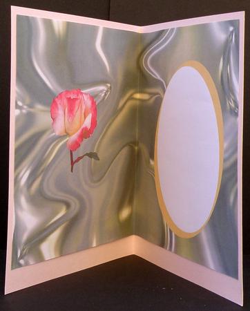 Flame Rose Insert by Suzi Cooper