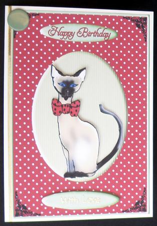 Snooty Siamese by Suzi Cooper