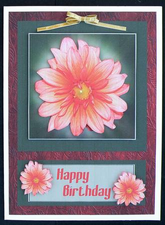Orange Flower Happy Birthday by Suzi Cooper