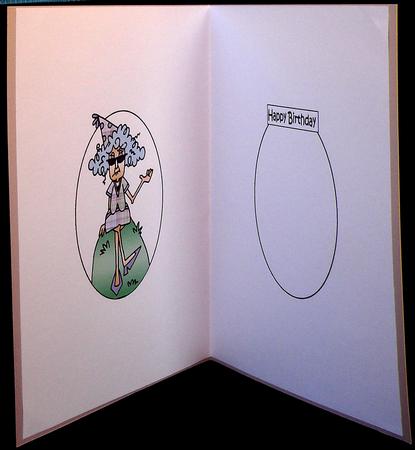Stella's Getting Older and Wiser Insert by Suzi Cooper