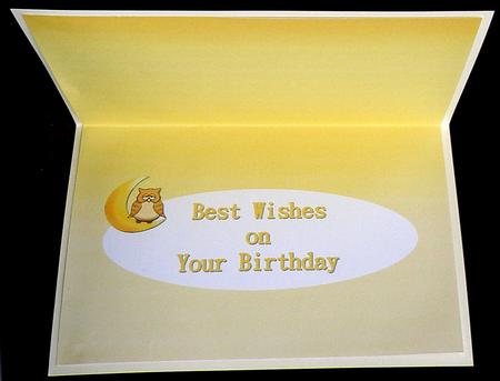 Pale Yellowowl Insert by Suzi Cooper