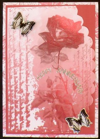 A Single Red Rose by Suzi Cooper