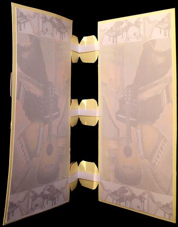 Special Hinges Music Birthday Insert by Suzi Cooper