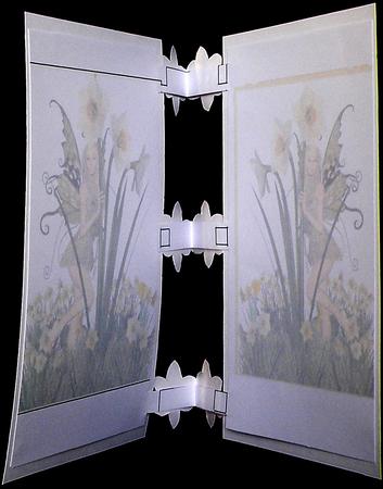 Special Hinges Fairy in Flowers Insert by Suzi Cooper