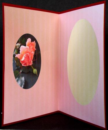 Card Insert with Orange Rose by Suzi Cooper