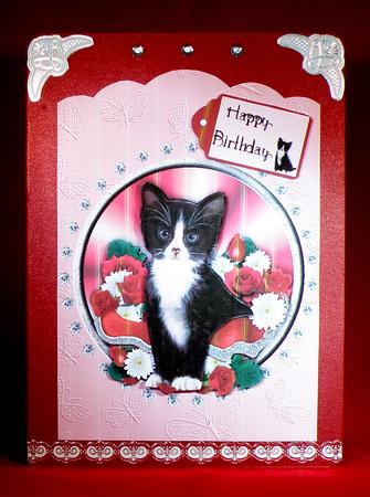 Black and White Kitten Scallop Top Birthday by Suzi Cooper