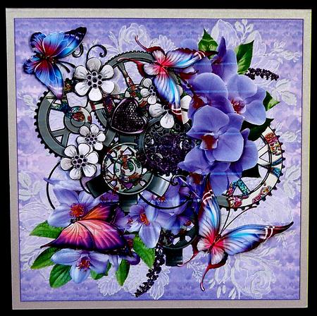 The Butterfly Medly by Suzi Cooper