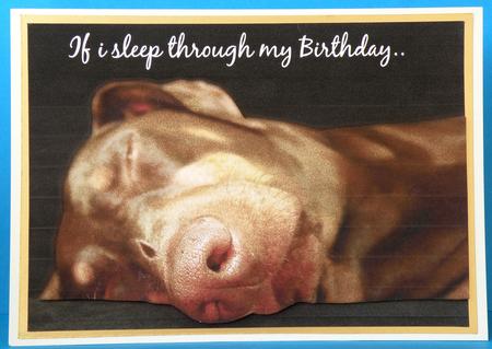 If I Sleep Through My Birthday Doberman Dog Quick Card by Suzi Cooper