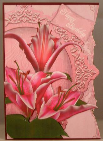Pink Stargazer by Suzi Cooper