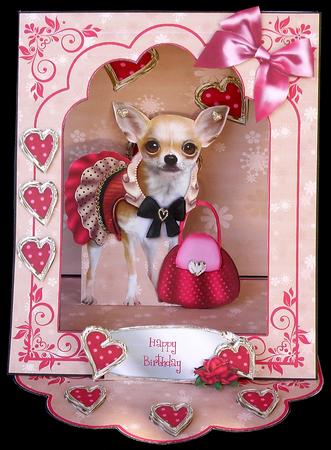 3D Open Front Easel Kit - Adorable by Suzi Cooper