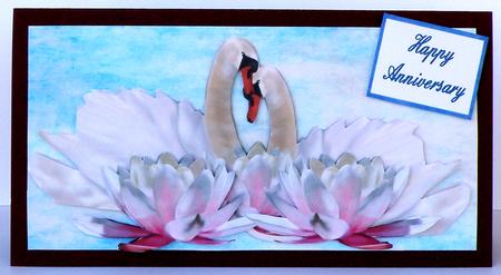 Swans and Waterlilies Dl by Suzi Cooper