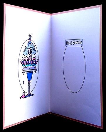 Stella Has a Big Big Wish Insert by Suzi Cooper