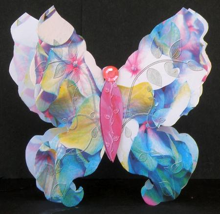 Papillon 3, Poompatta by Suzi Cooper