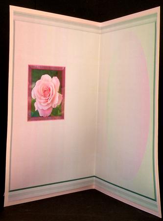 Pink Rose Insert by Suzi Cooper
