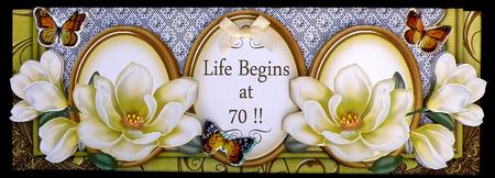 Lemon Magnolia Life Begins at 70 Large Dl Decoupage Card Kit by Suzi Cooper