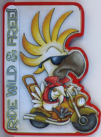 Wild & Free Over the Side Card Front by Suzi Cooper